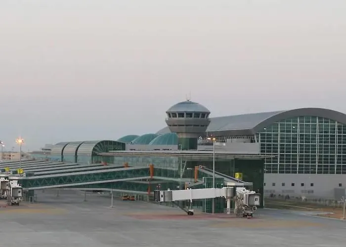 Alis * קוסדסי