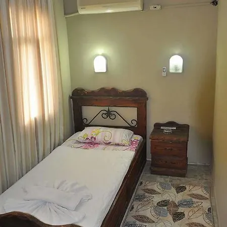 Alis Kusadası